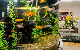 Hotel Egina Medellin